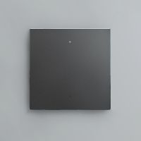 Клавиша 1-кл. сценарного выключателя, Графит