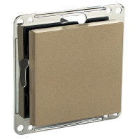 Сценарный выключатель 1-кл, модуль 55х55, dc, (Ddc-00-55-0103) Шампань