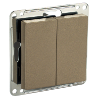 Сценарный выключатель 2-кл, модуль 55х55, Lite, Шампань