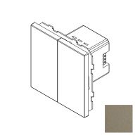 Сценарный выключатель, Amsterdam 02, 2-кл., модуль 71х71, dc, Шампань