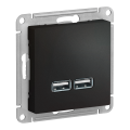 Модуль розетки с USB A (2 порта) (M0405) Черный