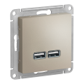 Модуль розетки с USB A (2 порта) (M0403) Шампань