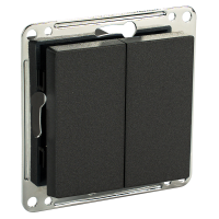 Сценарный выключатель 2-кл, модуль 55х55, dc, (Ddc-00-55-0204) Графит