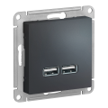 Модуль розетки с USB A (2 порта) (M0404) Графит