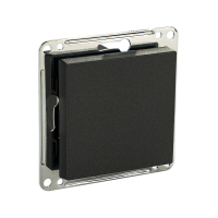 Сценарный выключатель 1-кл, модуль 55х55, Bus77, Графит