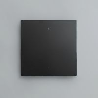 Клавиша 1-кл. сценарного выключателя, Черная