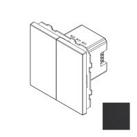 Сценарный выключатель, Amsterdam 02, 2-кл., модуль 71х71, Bus77, Черный